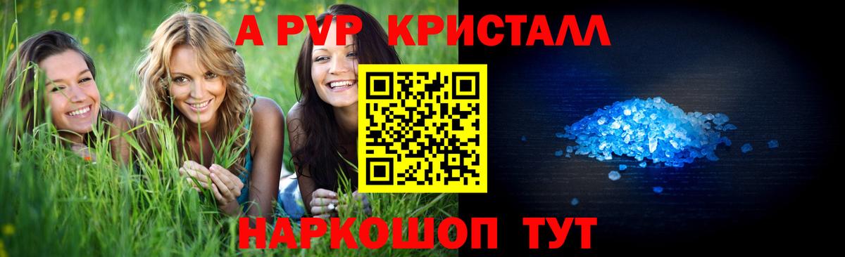 Alfa_PVP СК КРИС Назрань
