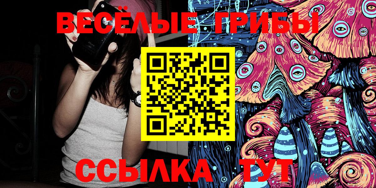 Галлюциногенные грибы Psilocybine cubensis Назрань