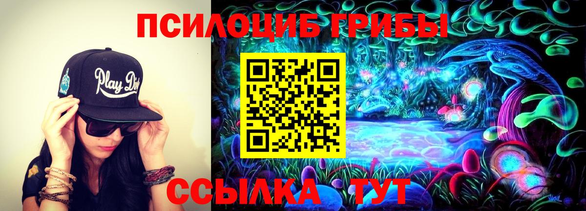 Назрань  цены наркотик  Галлюциногенные грибы ЛСД  Вход с VPN  Галлюциногенные грибы Magic Shrooms 
